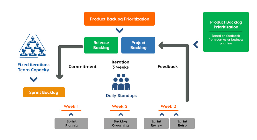 fetchseed-Development-Process