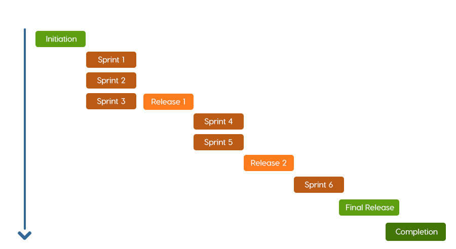 fetchseed-Development-Process